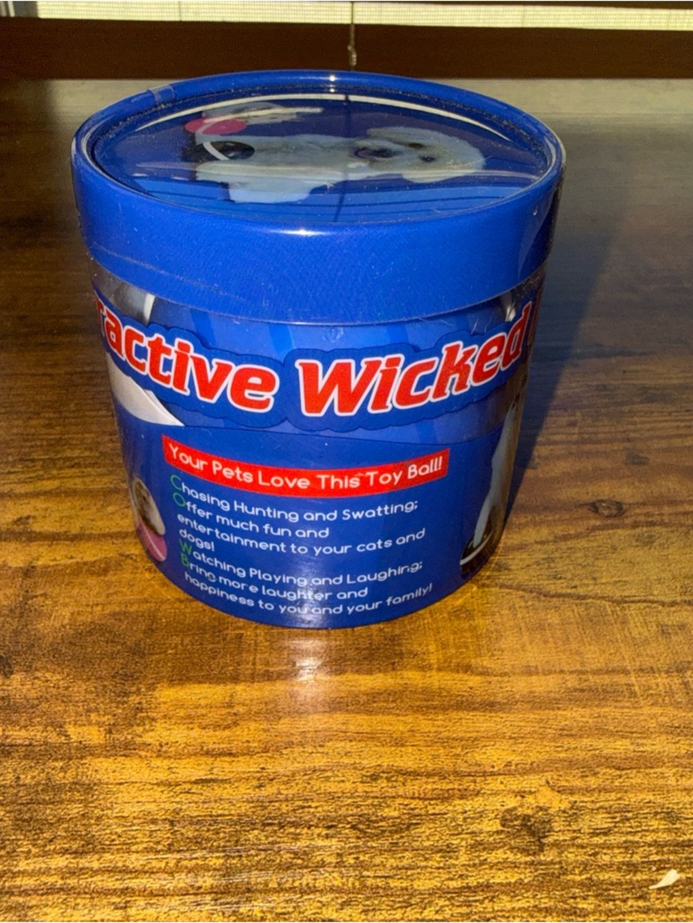 Interactive Wicked Pet Toy Ball - Fun Fetch & Chase